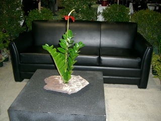 Living rock arrangement with ZZ plant cuttings